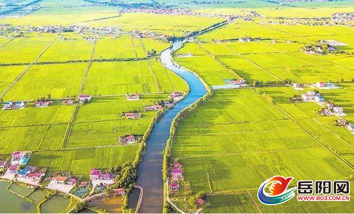 岳阳屈原管理区2019年gdp_屈原管理区图片