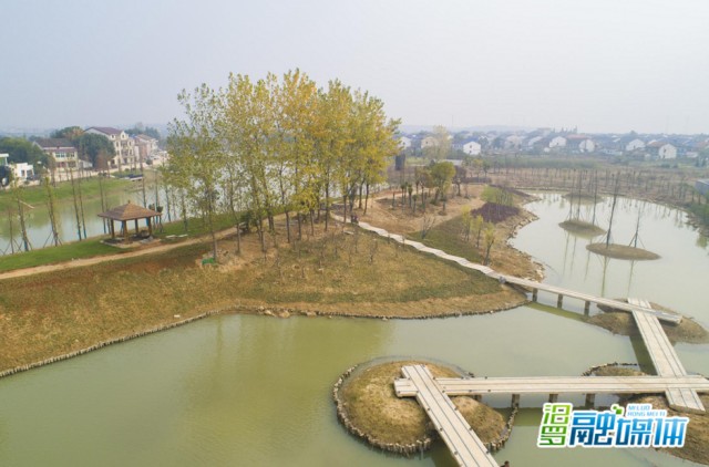 汨罗市有多少人口_汨罗市地图(3)