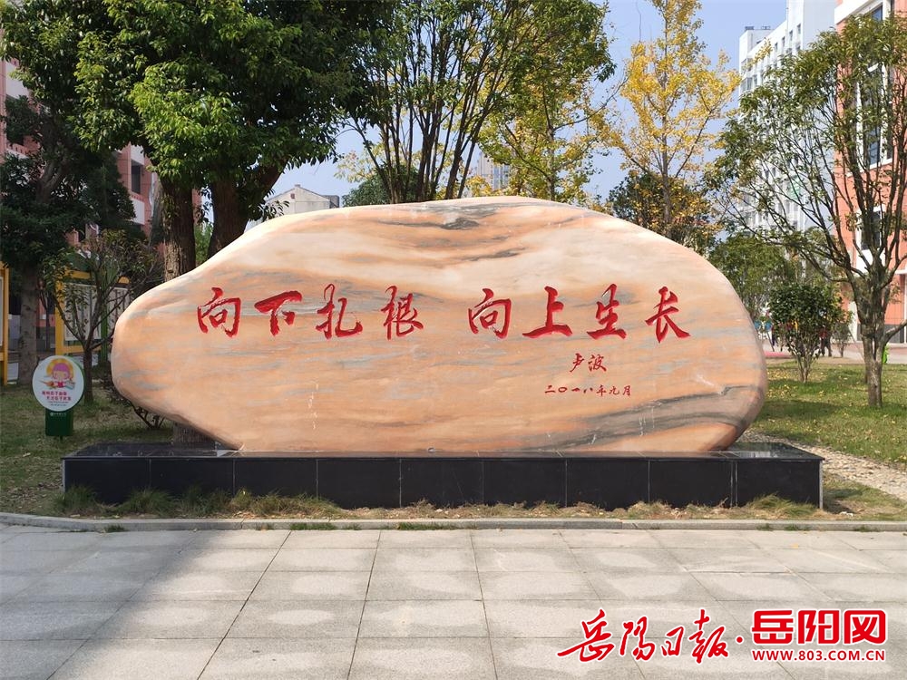 向下扎根 向上生长——岳阳楼区白杨坡小学高标准办学纪实