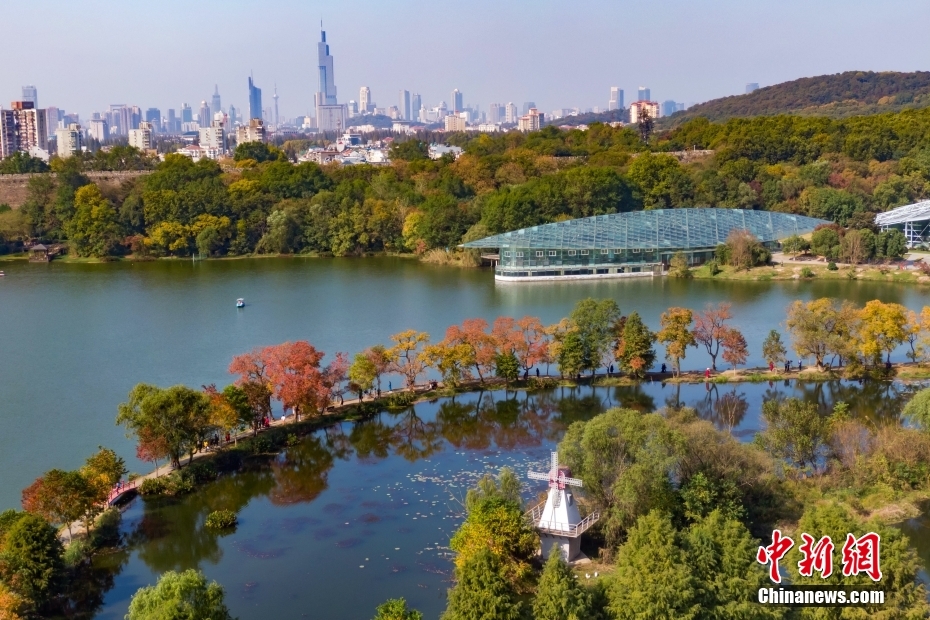 航拍南京紫金山秋日诗意67