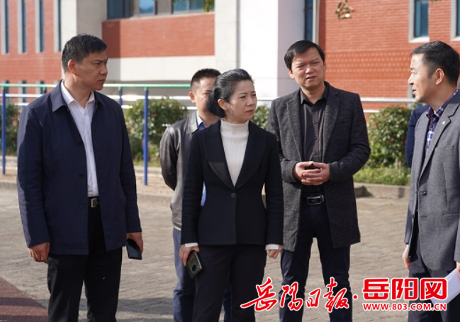 张小平 黄舒情)11月26日,云溪区委副书记,区长蒋春艳先后来到云溪小学