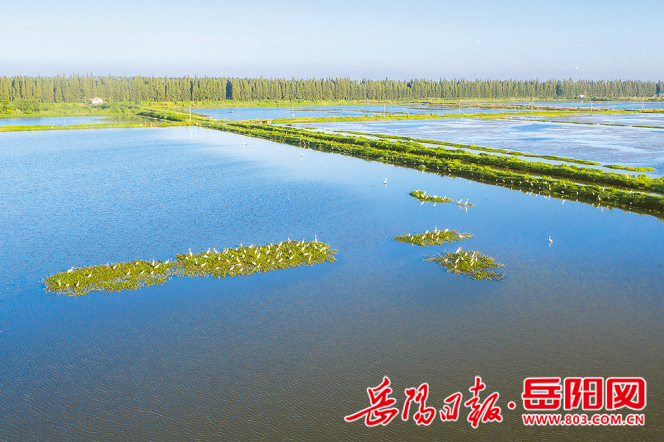 1134203788167083.png 屈原区.png