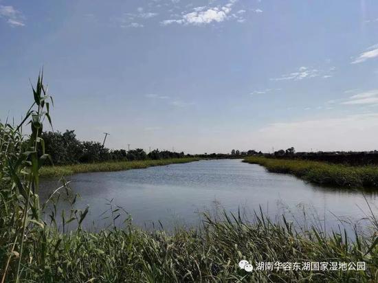 图源:湖南华容东湖国家湿地公园公众号