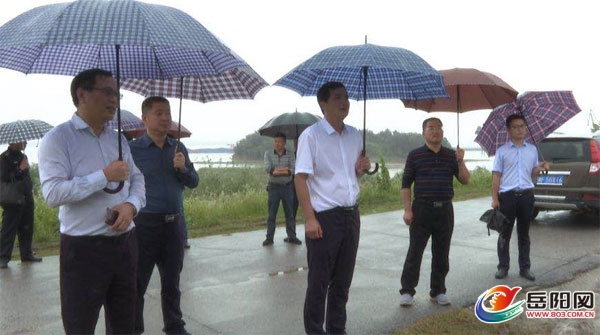 县区 云溪区据悉,云溪区贯彻落实党中央国务院关于加强生态文明建设的