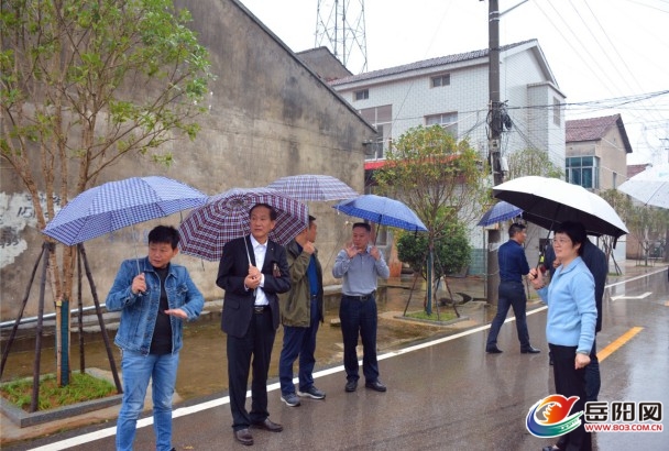 来到城陵矶街道城陵矶村,奇家岭街道仓田村和郭镇乡麻布村步行察看