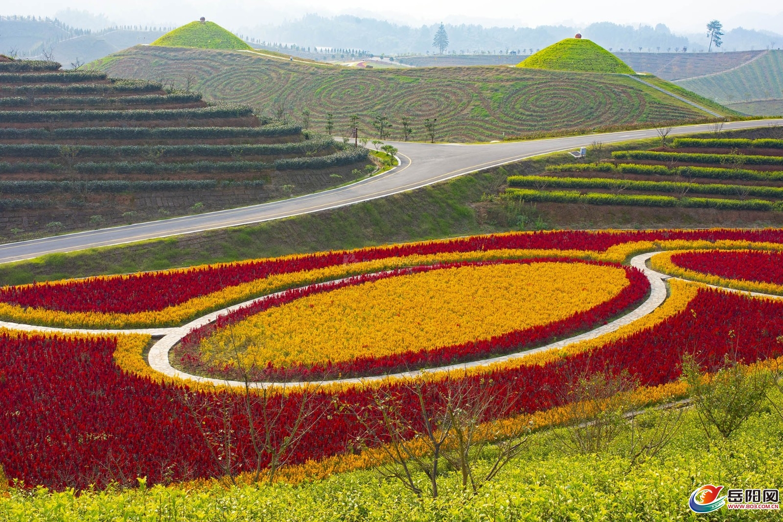 湖南这座大山深处冬色如春竟是一个四季有花开的地方