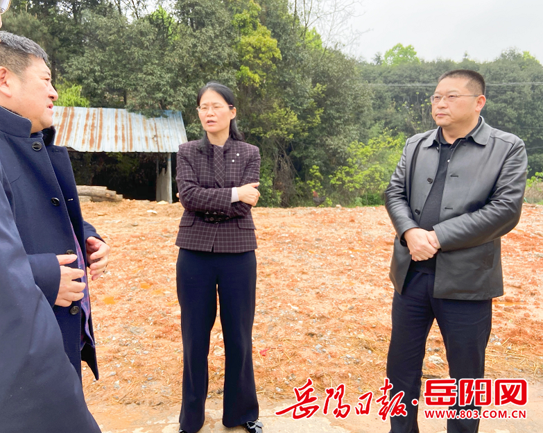 岳阳日报全媒体讯(记者 丁瑜)4月8日下午,副市长邱虹深入汨罗市,岳阳