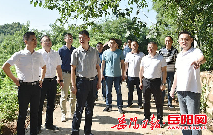 加大征拆力度助力项目建设潘宏军调度岳阳学院项目建设