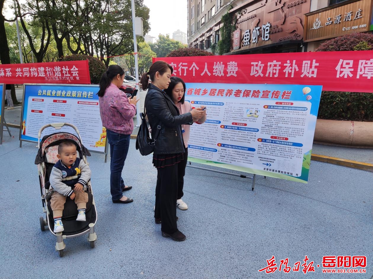 养老保险政策咨询