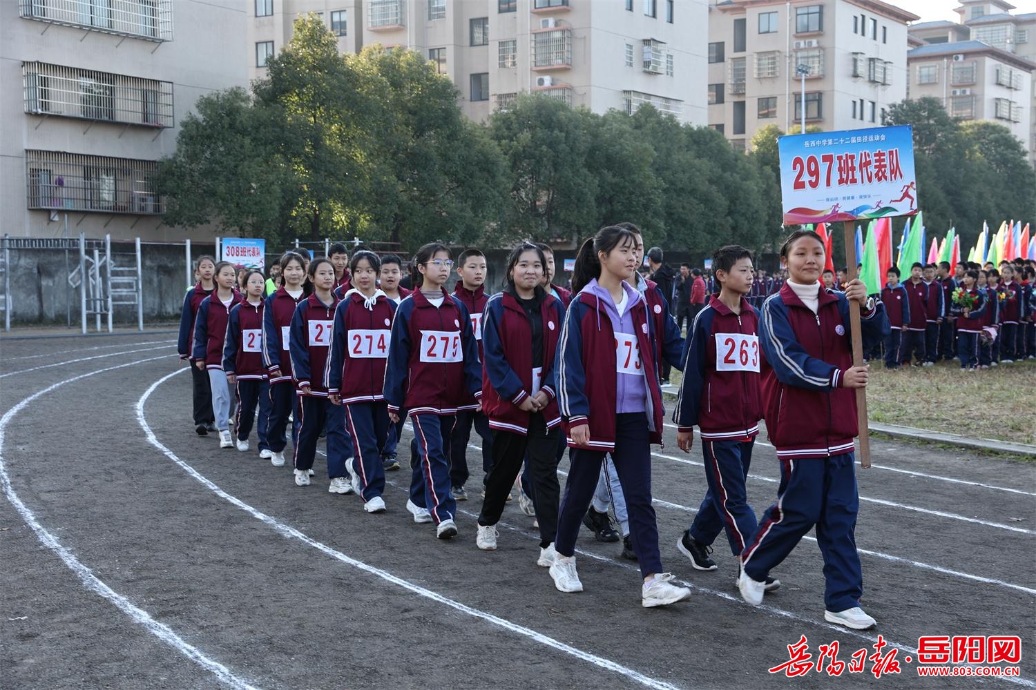 岳阳市君山区岳西中学图片