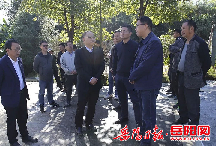 刘琦到乡村振兴重点村调研