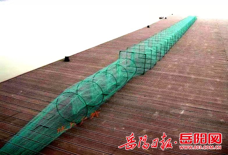 禁用渔具坚决守护好一江碧水长江流域重点水域禁用渔具专访