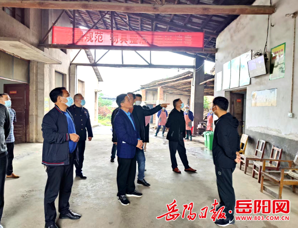 临湘市羊楼司镇对辖区部分中小学校校园建设和食品安全进行督察