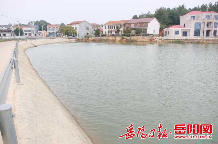 汨罗桃林寺镇石桥村高标田节水增效助力早稻生产