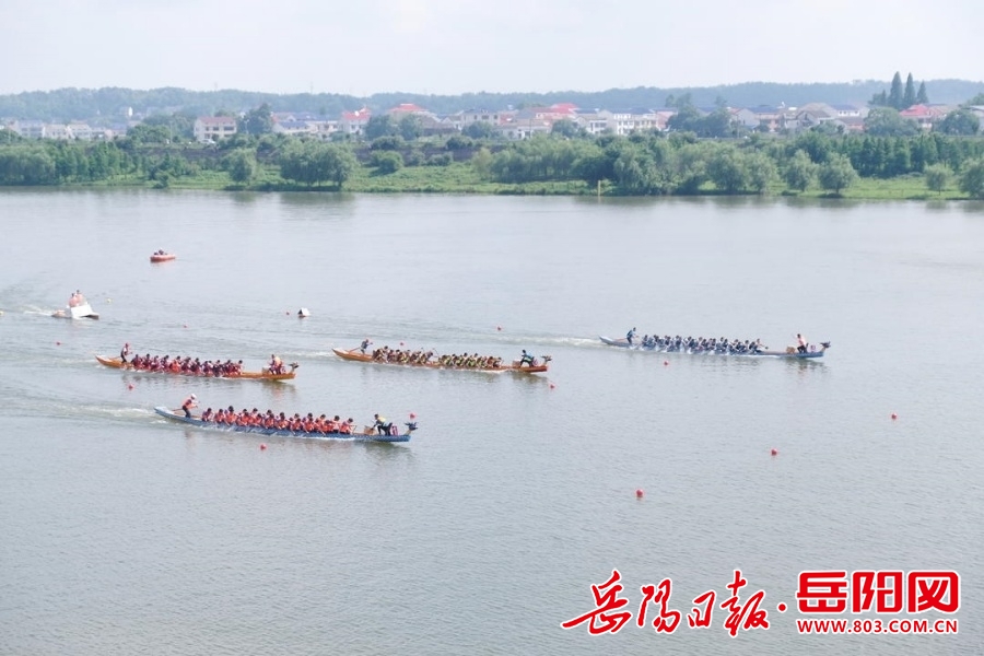 龙舟划过两千年汨罗江畔今争渡(图2)