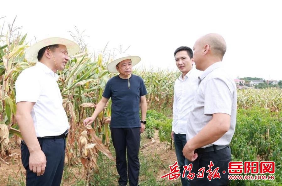 汨罗市:朱平波到白塘镇桃林寺镇督导防汛抗灾和农业生产等工作