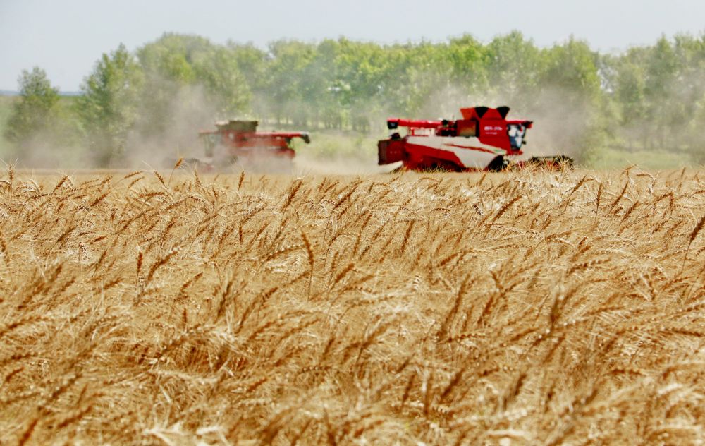 2204333873764402.jpg 868dc717c7b844cdb27a4fd2bcbb5549.jpg