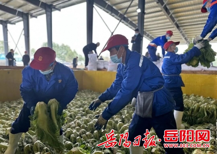 腌制池_7.jpg