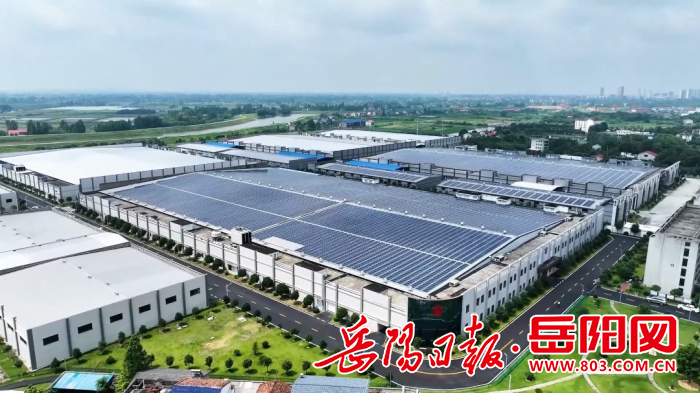 纺织厂_7.png