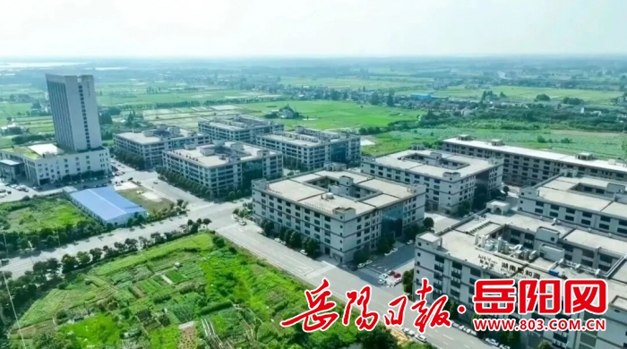 杨家桥_111_7.jpg