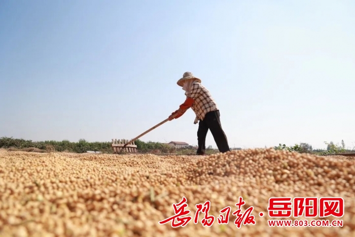 微信图片_20250916174333_1503_45.jpg