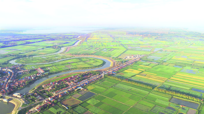 临湘市黄盖镇建设稻虾小镇见闻