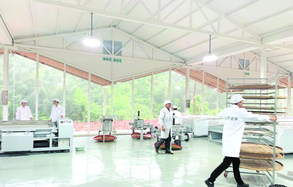 景观茶叶加工厂 在平江落成