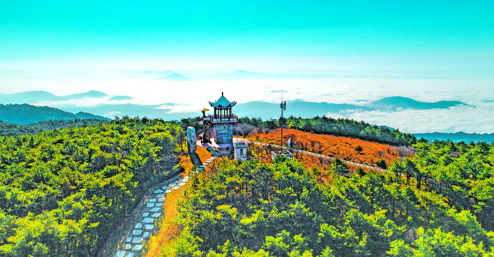 天岳幕阜山国家级森林康养认证基地总规通过评审