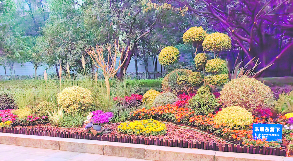 岳阳市园林绿化行业花境微景观 职业技能大赛落幕-新湖南