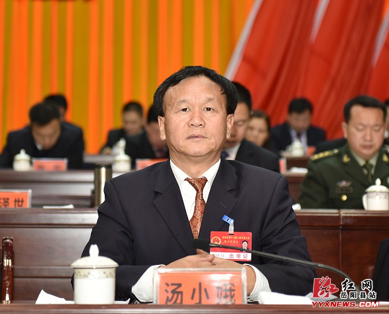 岳阳县第十七届人民代表大会第三次会议隆重开幕