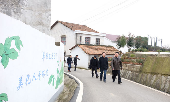 翠绿的"空心房"复垦点,明亮的文化墙…走进初春的汨罗白塘镇白塘村