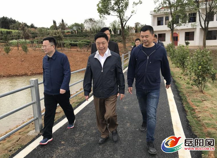 湖北省军区副政委李尚林,长沙市委常委,长沙警备区原司令王忠斌,岳阳