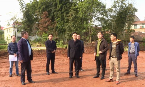 廖星辉到聂市镇凤形村调研指导软弱涣散村党组织整顿工作