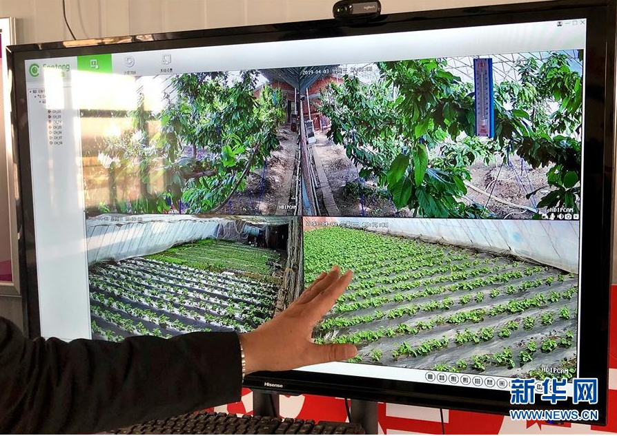 “互联网+”让村里人过上“智慧生活”