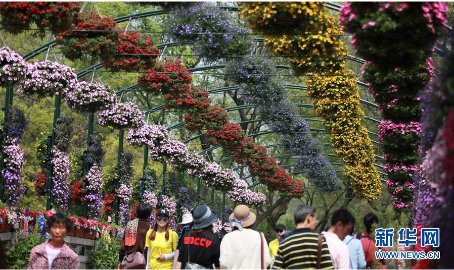 江苏扬州：万花争艳迎客来