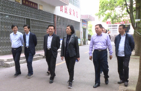 省教育厅领导来临湘市调研义务教育大班额消除工作