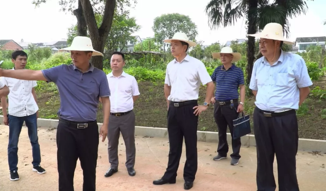 黄伟雄率队开展巡河工作