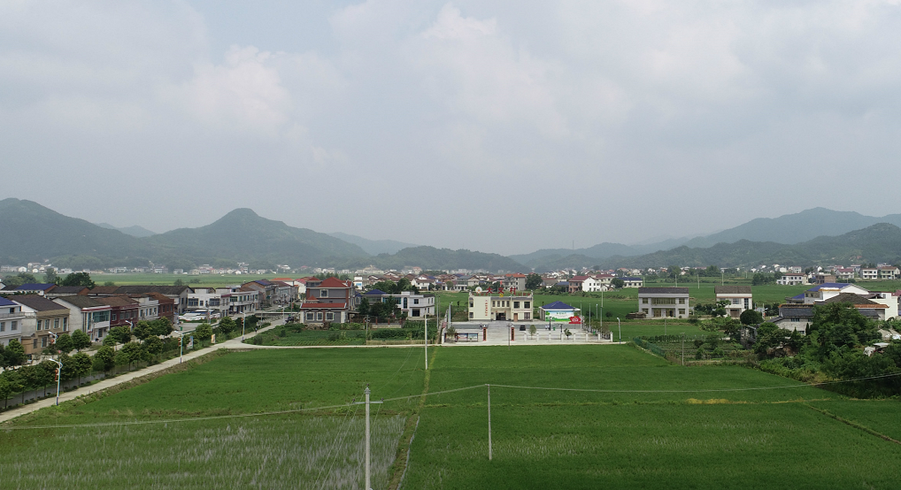 功成必定有我平江岑川镇上下一心谋发展侧记