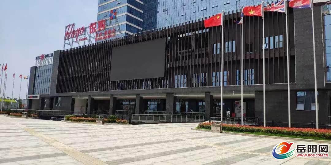 企业疫情下要避风弘元新港却逆风行