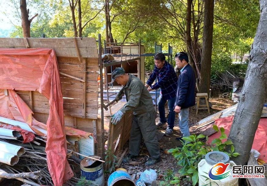 岳阳日报全媒体讯(通讯员 刘诗棋 杨柳)为改善月山秩序,提升月山品位