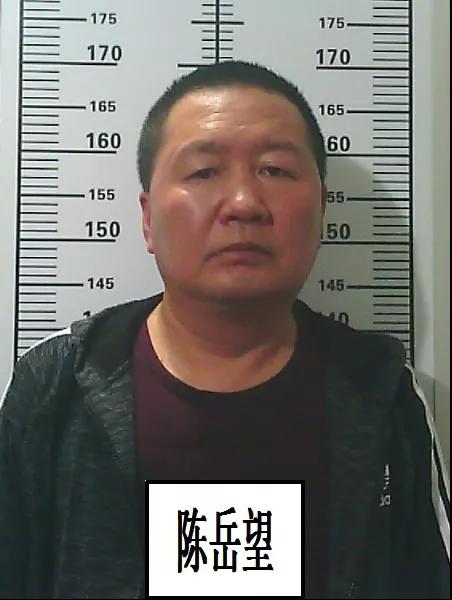 自扫黑除恶专项斗争开展以来,岳阳楼公安分局打掉一个以宋奔为首的涉