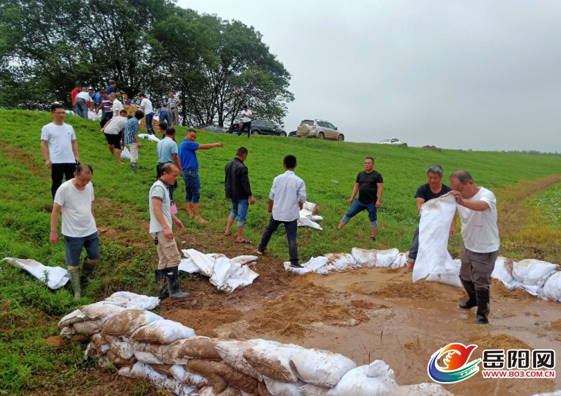华容县梅田湖镇:退伍老兵防汛一线续写军人本色