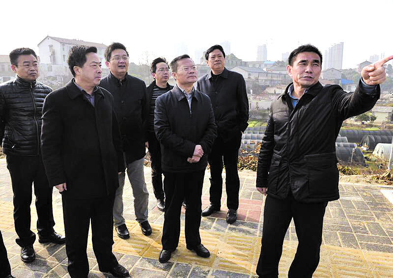 扮靓胜景秀巴陵