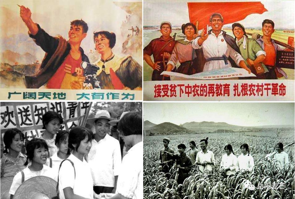 网络图:知识青年上山下乡