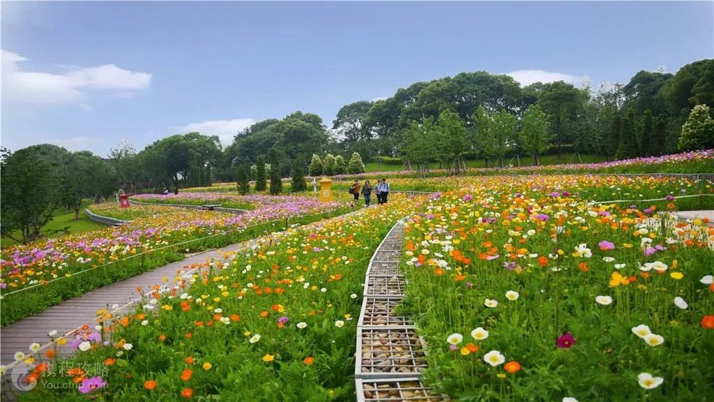 天晴!岳阳21个春游好去处,赏花,踏青一个都不能少!