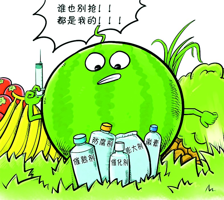 欧志葵 熊汉玲 陈清浩      顺着中央电视台日前调查"爆炸西瓜"的