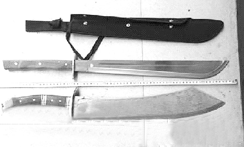 跨国追捕汨罗红花帮