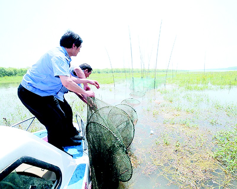 今年仍然重點打擊矮圍,迷魂陣,網魚,電捕魚4種非法捕撈行為