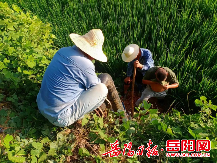 1033327238323552.png 图片5.png