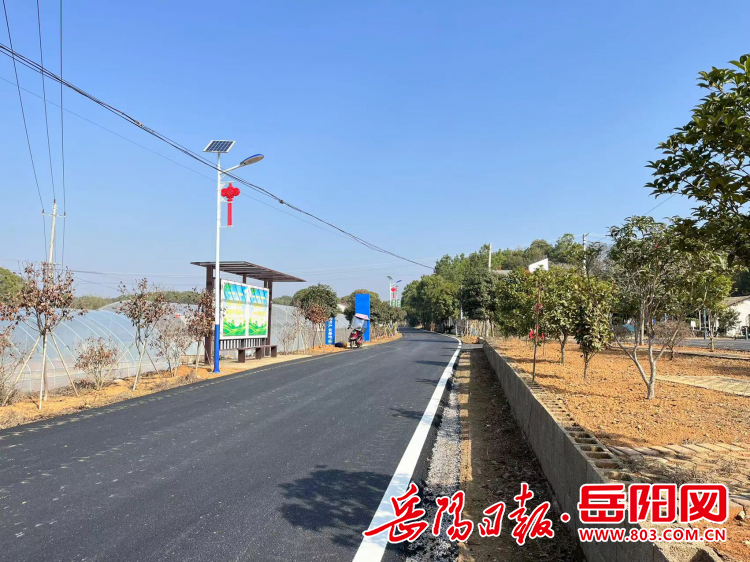湘阴县樟树镇:"产业路"打通群众"致富路"